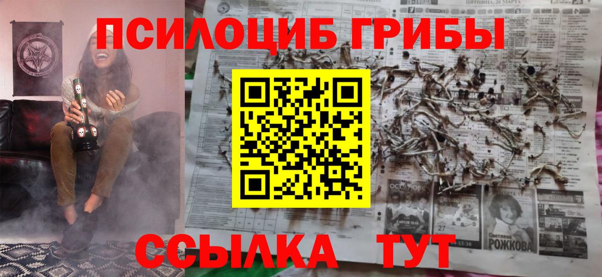 Сланцы  Галлюциногенные грибы Cubensis  Вход с VPN 