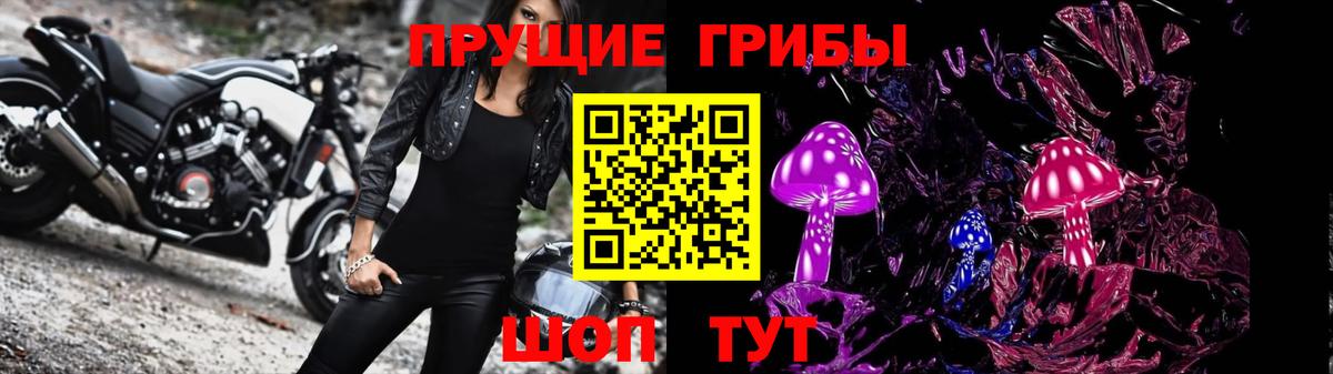 Галлюциногенные грибы Psilocybine cubensis Сланцы